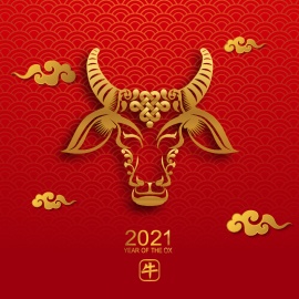 Goun Xi Fa Tsai for the year of OX 2021